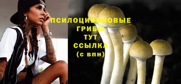 стаф Балабаново
